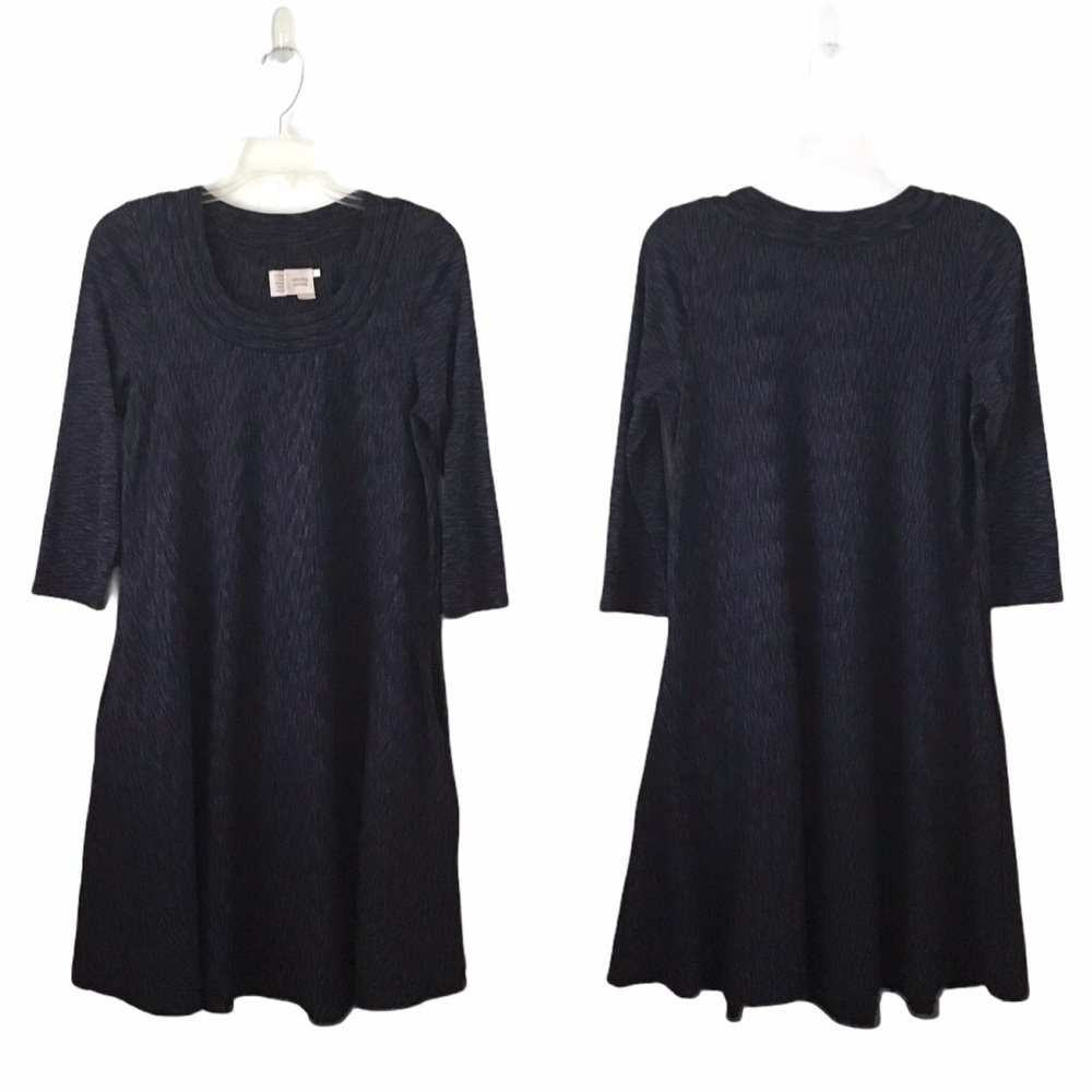 Anthro Saturday Sunday Narva Space Dye Swing Dress